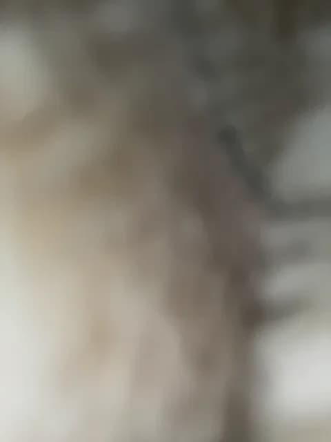 Stream KARASEVDAKINOGO Live - 78 min | Feb 4, 2026 10:25