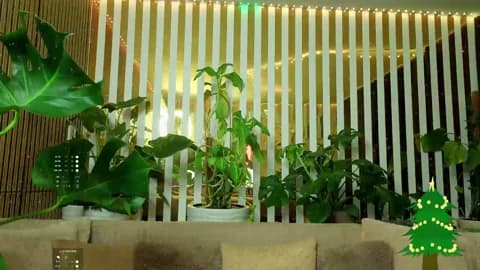 Stream MiaLiaHot Live - 98 min | Jan 8, 2026 09:11