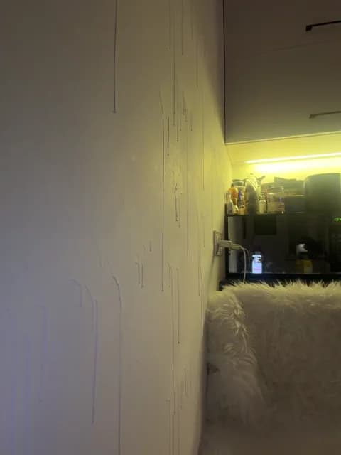 Stream Taanni Live - 43 min | Mar 7, 2026 17:52