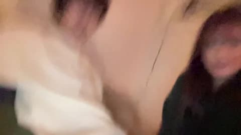 Stream bkws985 Live - 60 min | Feb 21, 2026 04:12