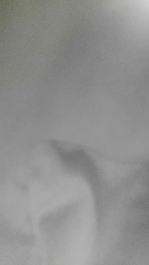 Stream harucristal Live - 62 min | May 5, 2026 04:56
