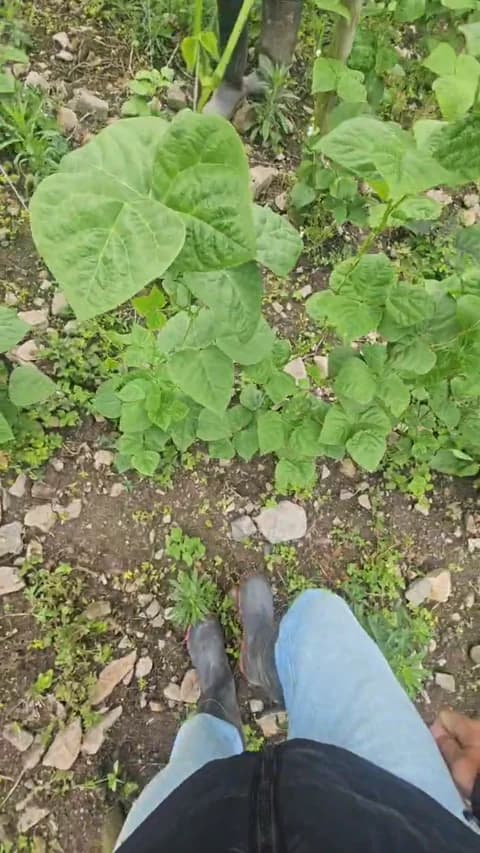 Stream jo23_xxx Live - 41 min | Apr 9, 2026 16:46