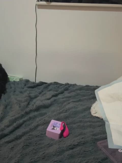 Stream jura_xxx Live - 31 min | May 7, 2026 11:48