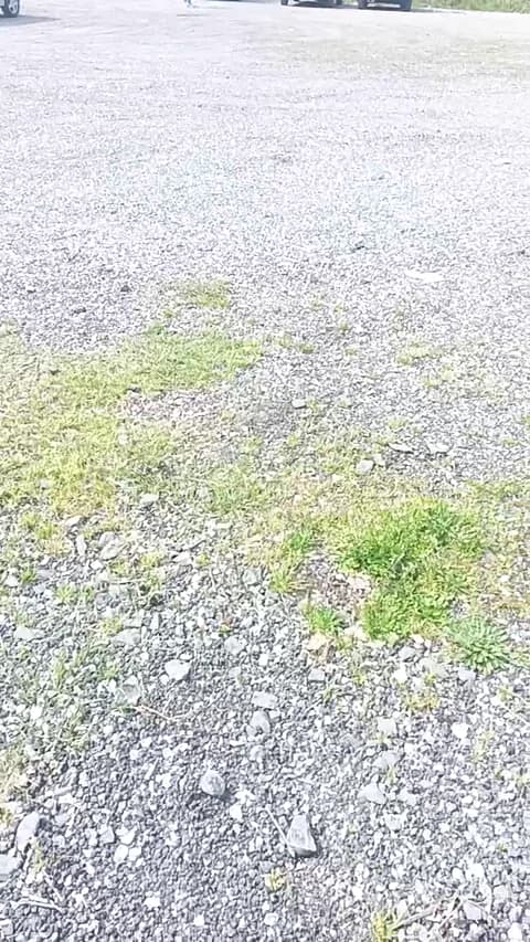 Stream livenews1 Live - 48 min | Mar 15, 2026 11:39