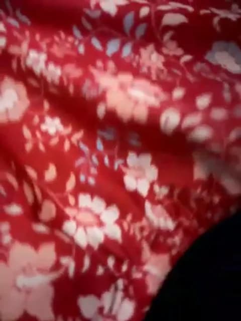 Stream miamellycious Live - 33 min | May 22, 2026 08:49